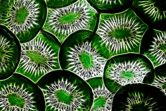 Fractal Interpolation of Kiwi Fruit"
